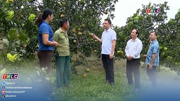 Xã Yên Thành nỗ lực giảm nghèo trong đồng bào dân tộc thiểu số | THLC