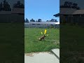 Secretly Watching My Dog 🐾