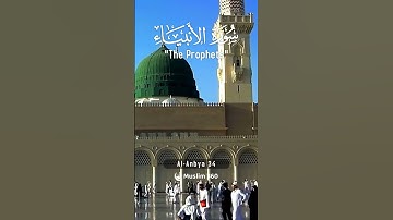 Surah Al-Anbiya 34 - Hindi/Urdu Audio |سورة الأنبياء #surahalanbiya #muslim360
