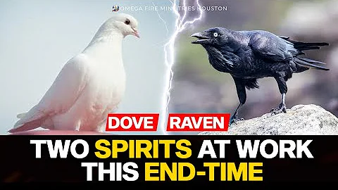 If This Sermon Does Not WAKE YOU Up, Nothing Will t.d.