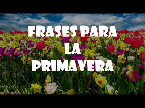 Vídeo: Com s'utilitza la paraula Primavera en una frase?