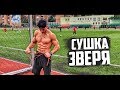 ТОП 3 Лучших жиросжигающих тренировки