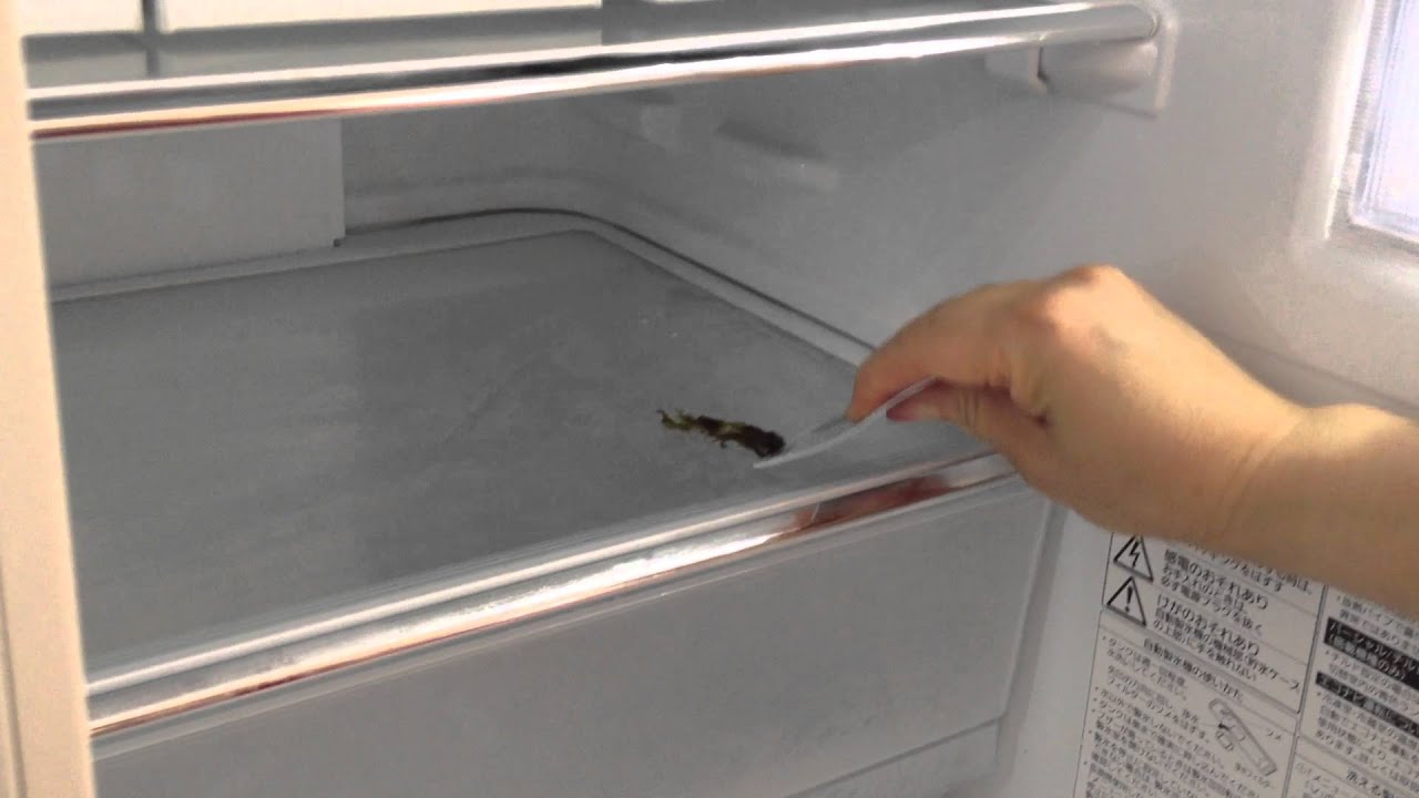冷蔵庫 腐っ た 掃除