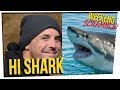 WS - Man Jumps Into a Shark Tank ft. Steve & Nikki, DavidSoComedy