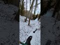 Lunzenau - Untere vereiste Schneewaldbrücke