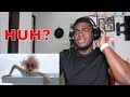 CAUGHT ME OFF GUARD!| Lady Gaga - Bad Romance (Official Music Video) REACTION