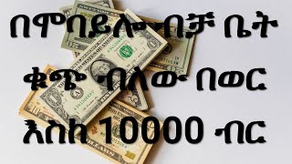 በዩቱብ ቪዲዮ ብቻ በወር እስከ 10000 ብር ያግኙ | Making Money online Watching YouTube Videos | making money online