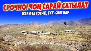 видео: Чоң САРАЙ сатылат эки үй менен ~ Жери кенен 95сотых сеновал, чон сарай, навес, суу ,свет юар картинка: Чоң САРАЙ сатылат эки үй менен ~ Жери кенен 95сотых сеновал, чон сарай, навес, суу ,свет юар