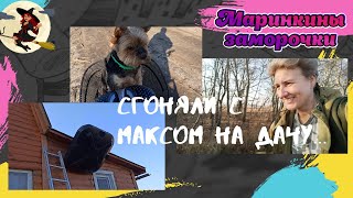 на даче с Максом // супер-интернет-антенна)) // собака на велосипеде