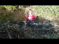 Expedition #33 | Beaver dam removal. Big and high. First touch. Beaver checking out.