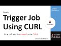 Jenkins 12  trigger remote jenkins job using curl