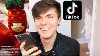 Reacting to My Favorite Animal TikToks!!!!!