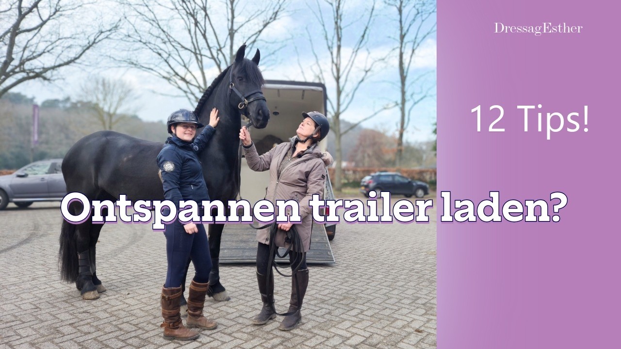 😰 Wil jouw paard niet de trailer in? Zo maak je trailer laden wél makkelijk!