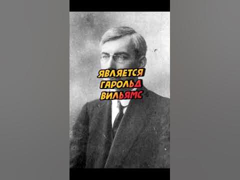 Величайший полиглот в истории #shorts - YouTube