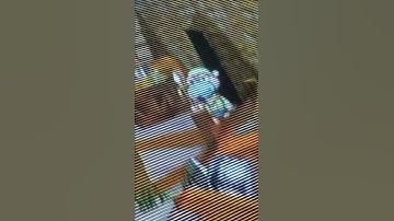 interlaced video example