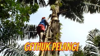 GETHUK PELANGI | JEJAK SI GUNDUL (28/09/20) Part 2