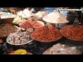 A visit to popular oliha market in the heart of benin city latest price of various food items