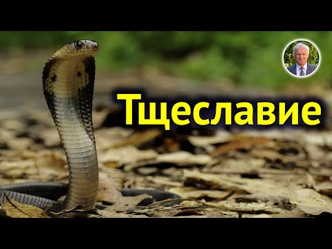 Видео: Что означает слово самолюбование?