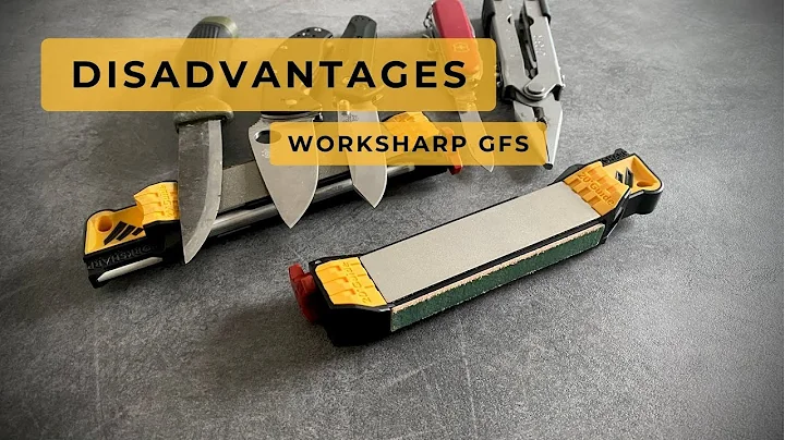 Worksharp Guided Field Sharpener | LONGTERM REVIEW
