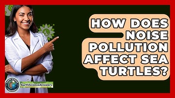 How Does Noise Pollution Affect Sea Turtles? - Earth Science Answers