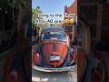 1965 VW Bug First Show in 40 years!🥹😍#car #vwcar #vw #vwbug #vocho