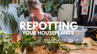 Repotting your houseplants  3 mistakes to AVOID!