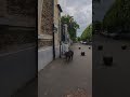 5 mai 2026