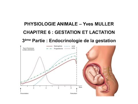 Vidéo: L'expression Placentaire Des Hormones Hypophysaires Est Une Caractéristique Ancestrale Des Mammifères Thériens