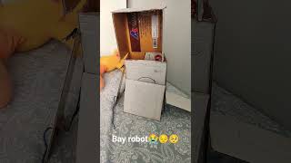 Bay Robot