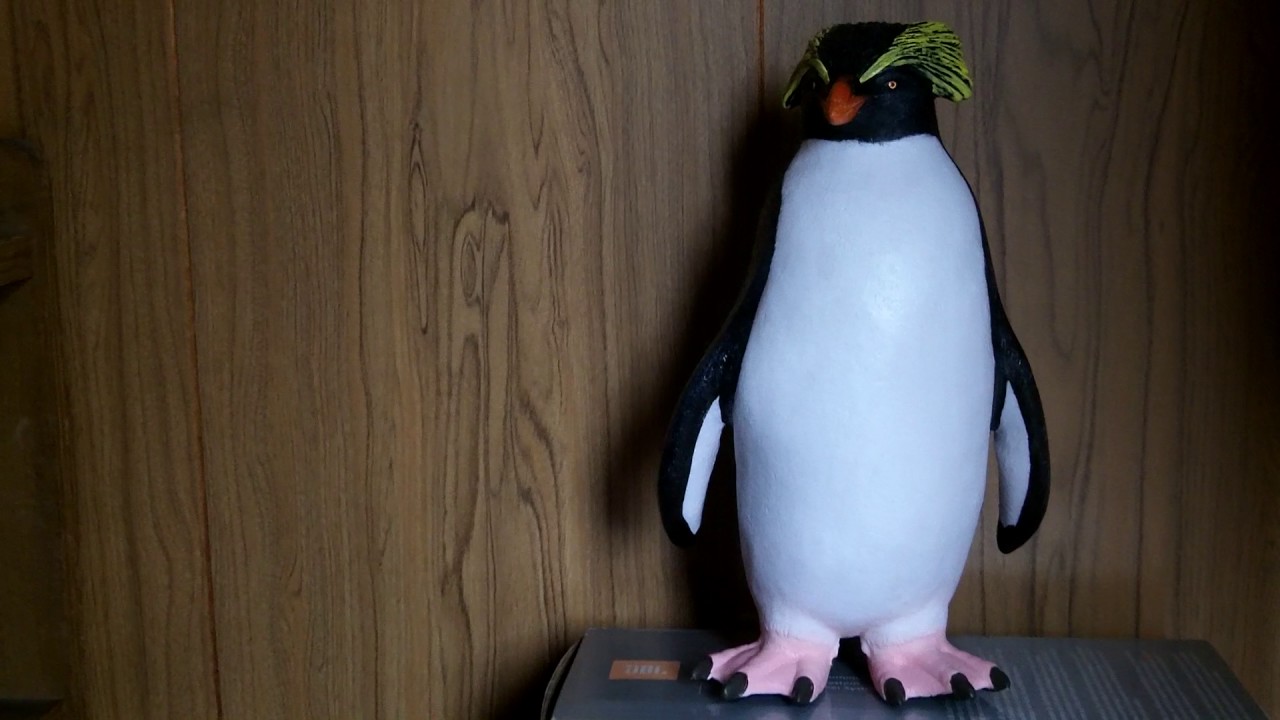 ROYAL PENGUIN SING (炎) （冠二郎 と共演しました） 