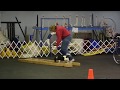 Truckee Meadows Dog Training Club Truckee Meadows Dog Training Club