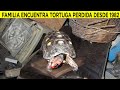 Familia Limpia Casa Y Encuentra Mascota Tortuga Perdida Desde 1982 - Noticias Extrañas Parte 2