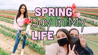 SPRING DAY IN MY LIFE | tulip field in NJ with my mom!