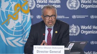 Download Lagu OMS alerta que uma 'grande proporção' da população em Gaza está morrendo de fome | AFP MP3 Download Lagu OMS alerta que uma 'grande proporção' da população em Gaza está morrendo de fome | AFP MP3