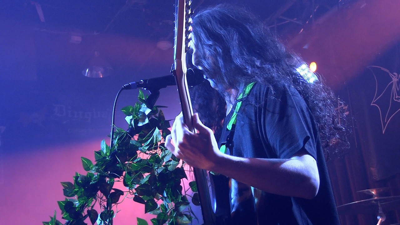 Frog Mallet - Live - May 16th 2026 - Full Set -