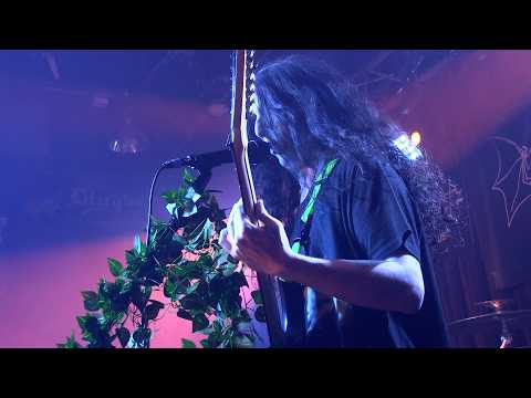 Ref:KHuAqBuj1AM Frog Mallet - Live - May 16th 2026 - Full Set -