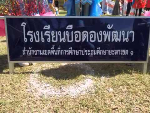 บือดองเกมส์