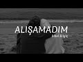 Sibel Bilgiç Alışamadım Lyrics 