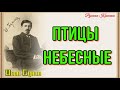 Птицы небесные —Иван Бунин —читает Павел Беседин