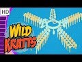 Wild Kratts - Creatures That Make a Big Splash! (40 Minutes!)