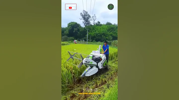Amazing Rice Harvesting Machine