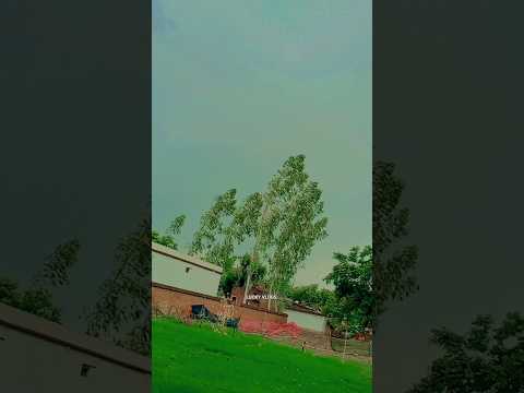 🍃भदोही में बारिश🌥️क्या मौसम आया है🤗#viralvideo LUCKY VLOG #pleasesubscribe me guys