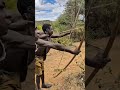 Traditional Survival Skills: The Art of#AncientTechniques #Nature #CulturalHeritage #BowAndArrow