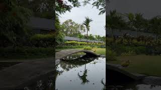 Sukoon ❤️ trendingshorts nature travel viralvideo viral shortvideo
