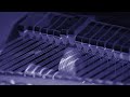 JAQAMAZ NEW ALBUM JAQAMAZ NEW ALBUM