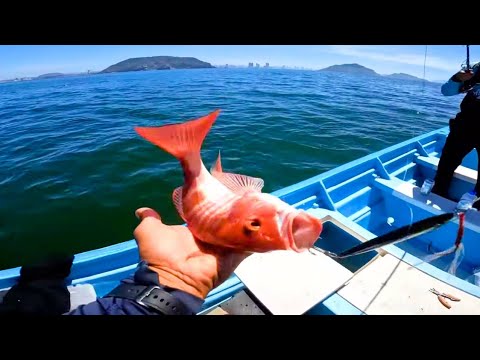 encontramos un gran cardumen de pargos en un barco undido - YouTube
