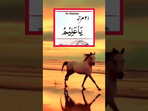 Powerful Wazifa Serp 21 Martaba Ye Hayt Par Kar Har Qesam Daily Hajt K Liy Kuskhbri Powerful Wazifa