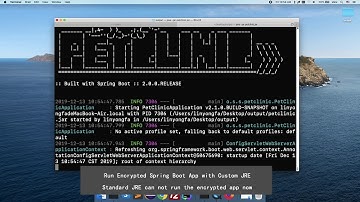 Protect Spring Boot App with Protector4J