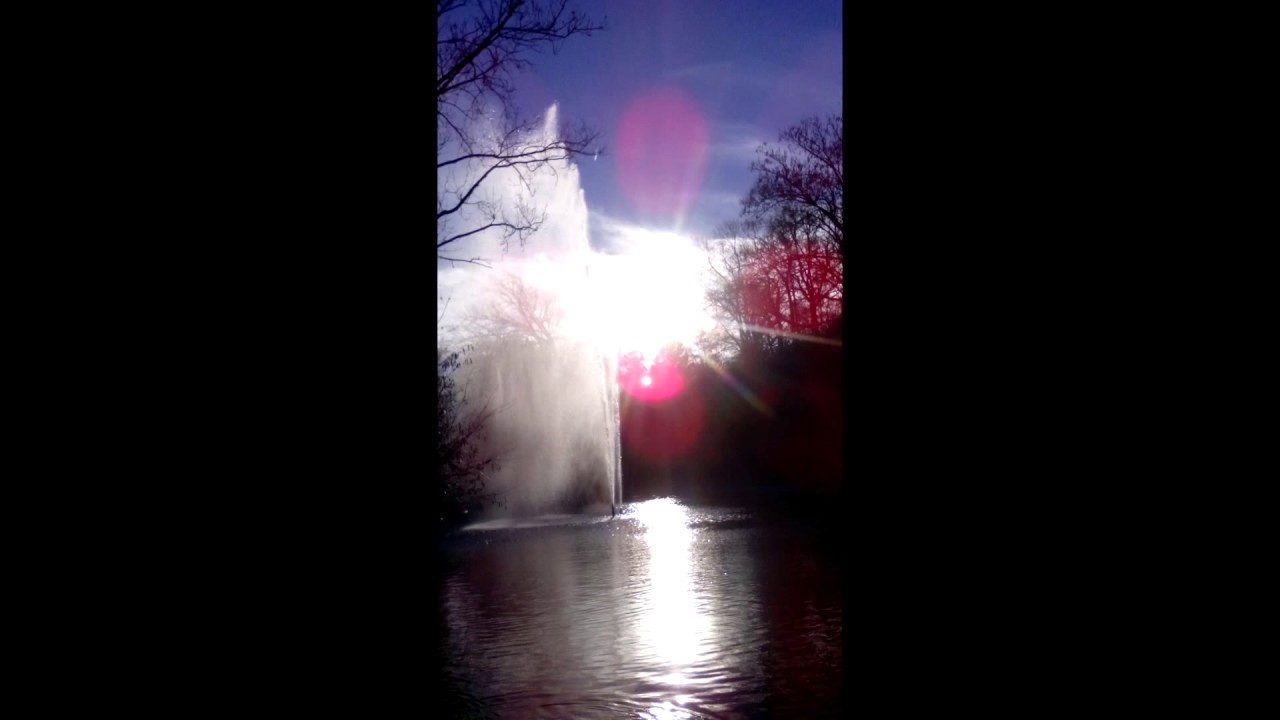 Der kleine Prinz - Kapitel 19 - XIX - Hörbuch - International Street Workout - ISW roseola