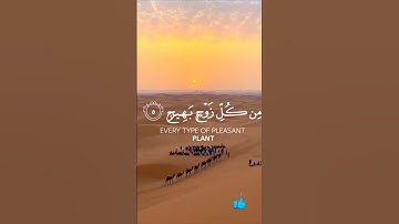 سورة الحج (Al-Hajj) الاية 05